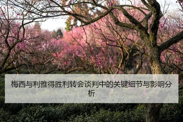 梅西与利雅得胜利转会谈判中的关键细节与影响分析
